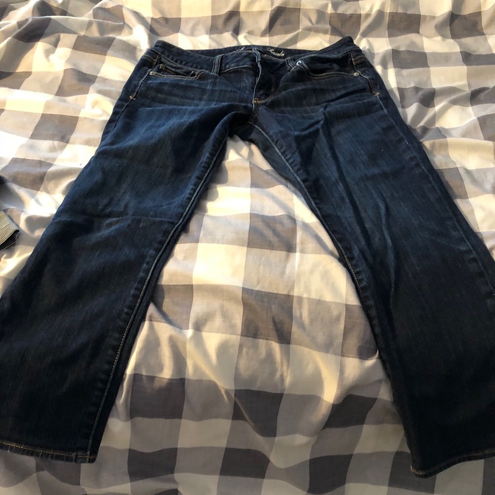 American Eagle Stretch Artist Crop Jeans